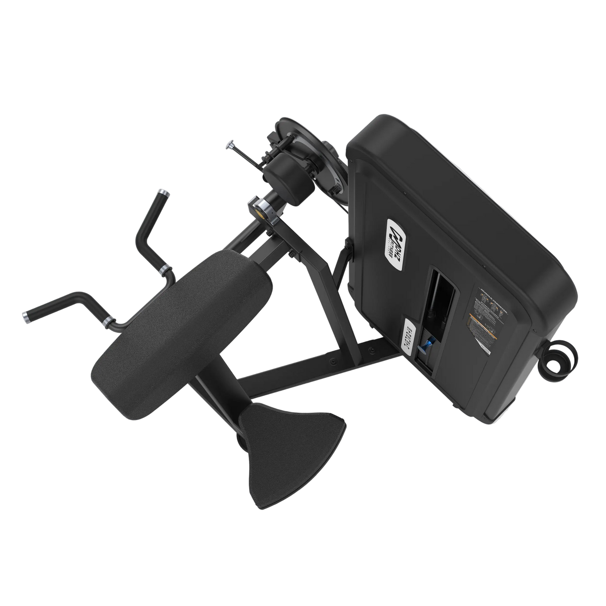 Camber Curl and Triceps AlphaBro