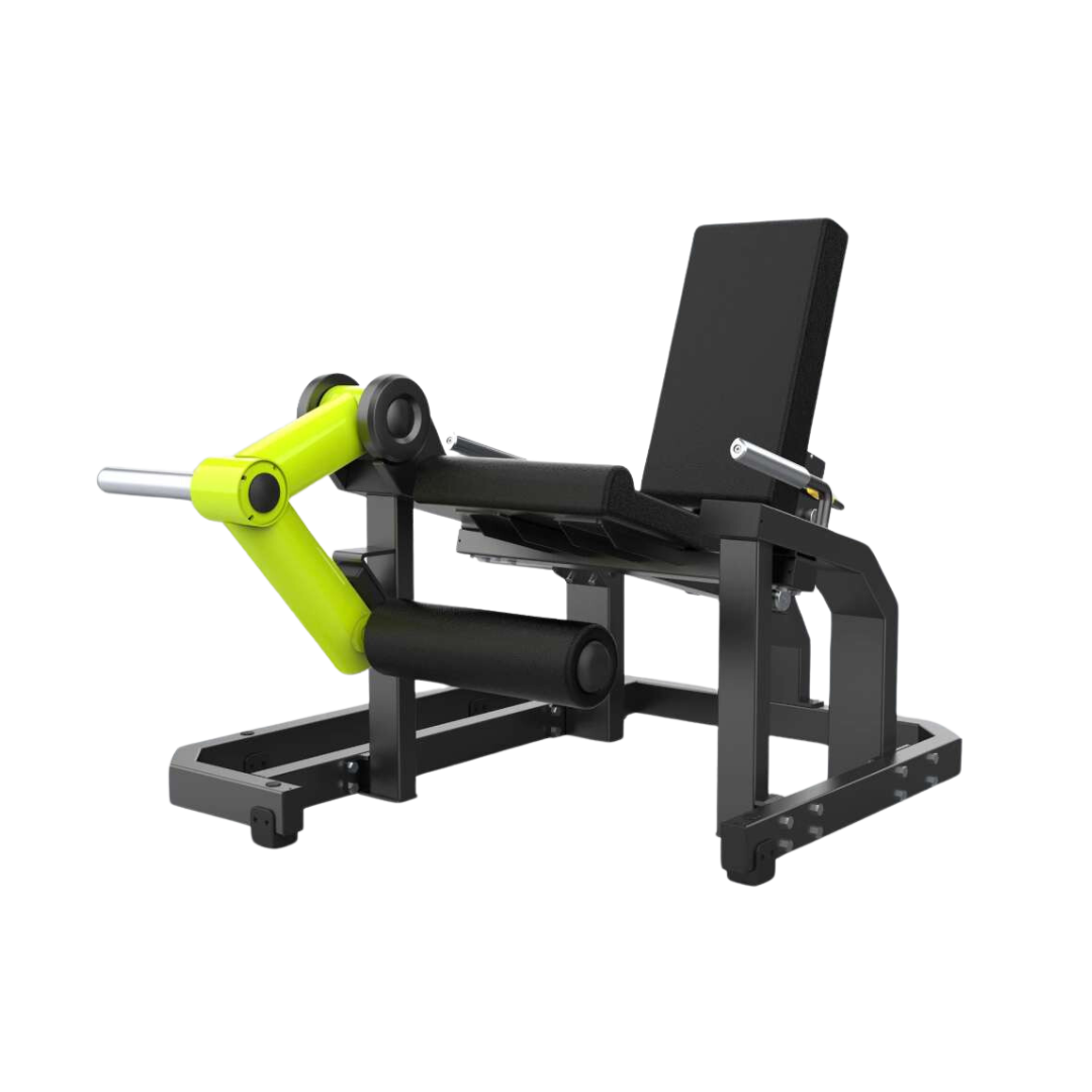 Extension de pierna image 0