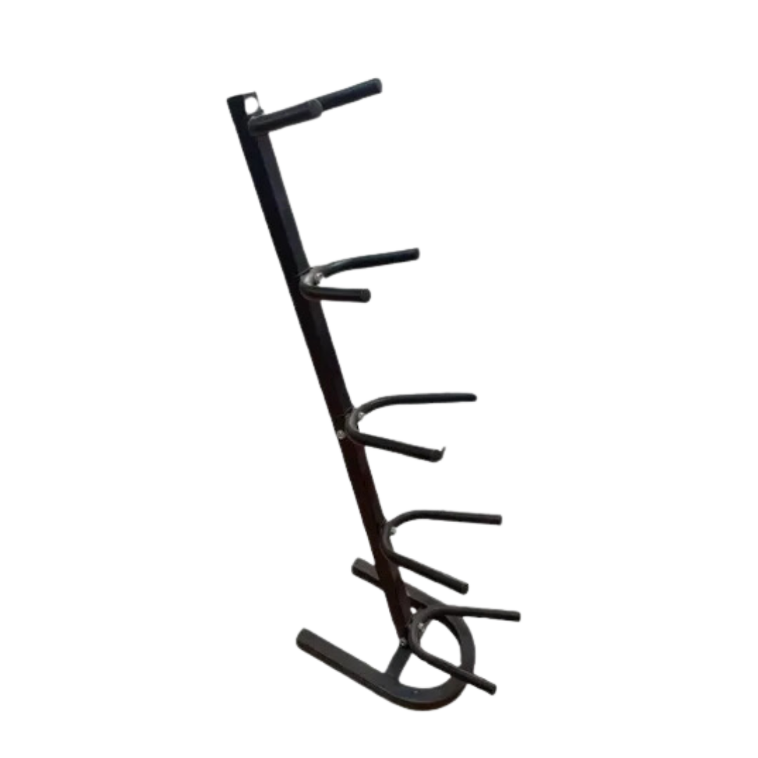 Rack para 5 pelotas Medicinales image 0