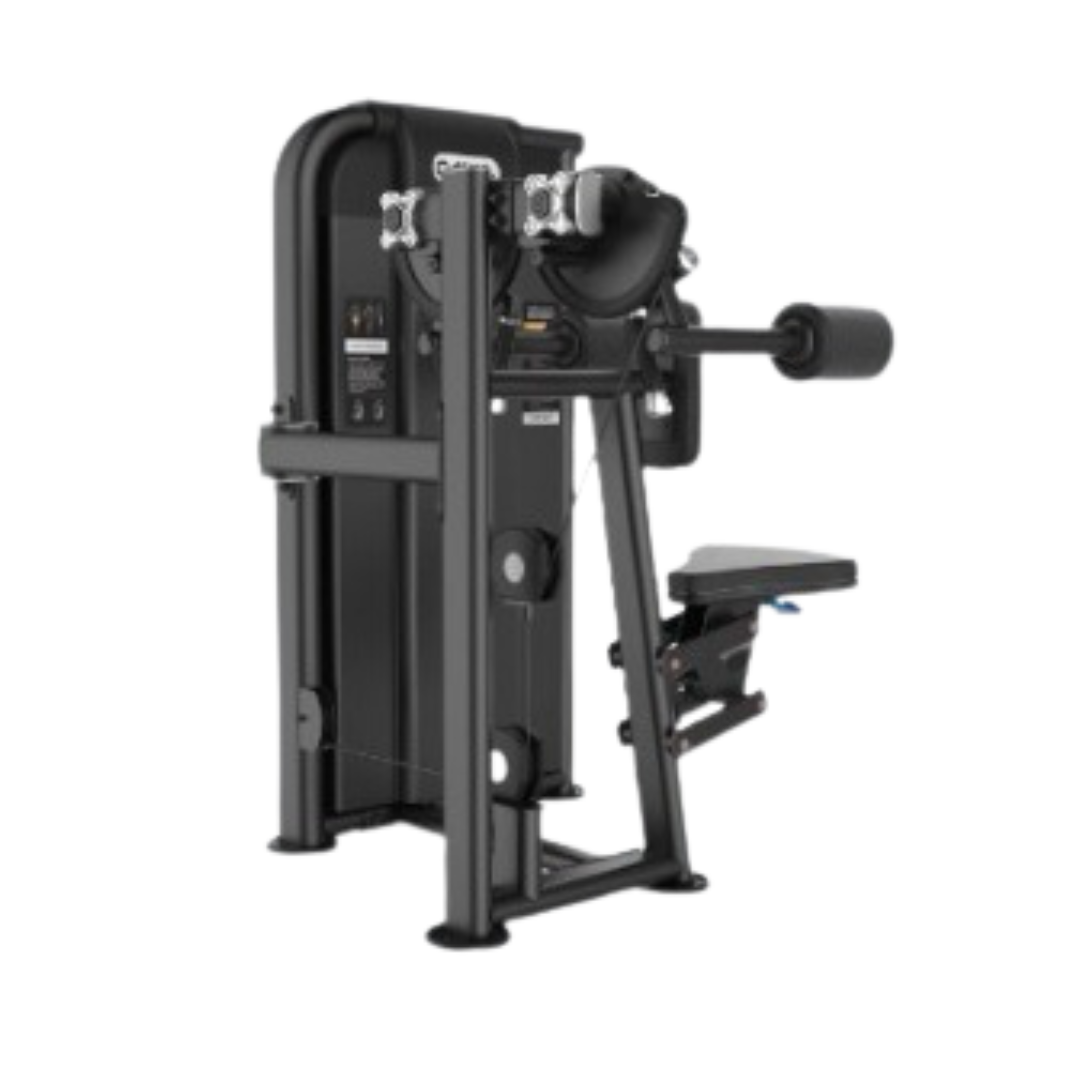 Lateral Raise Premium image 0