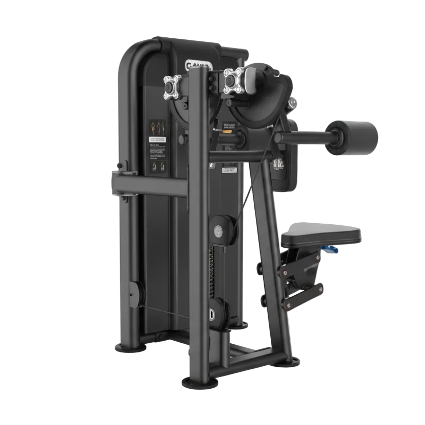 Lateral Raise Premium image 0