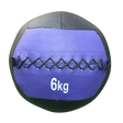 Wall Ball Premium 5kg-10kg image 1