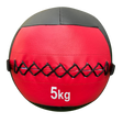 Wall Ball Premium 5kg-10kg image 0