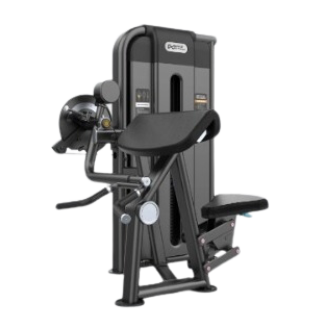 Curl camber y tríceps image 0