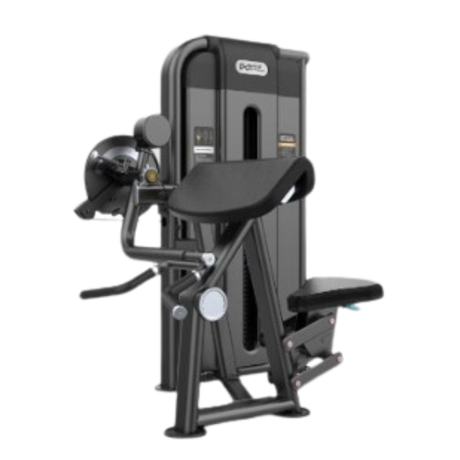 Curl camber y tríceps image 0