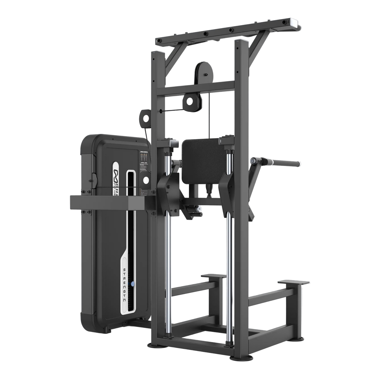 Dip Chin Assist AlphaBro