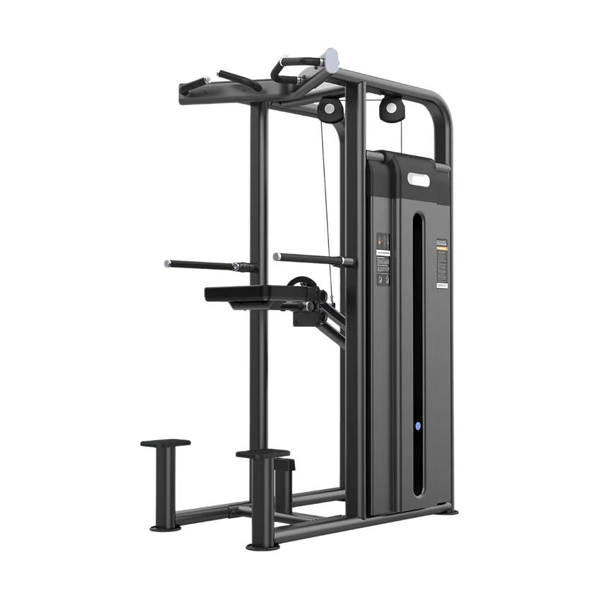 Dip/Chin Assit Premium