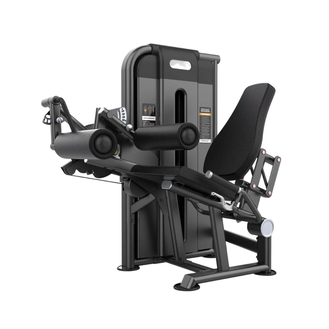 Extensión y flexión de pierna image 0