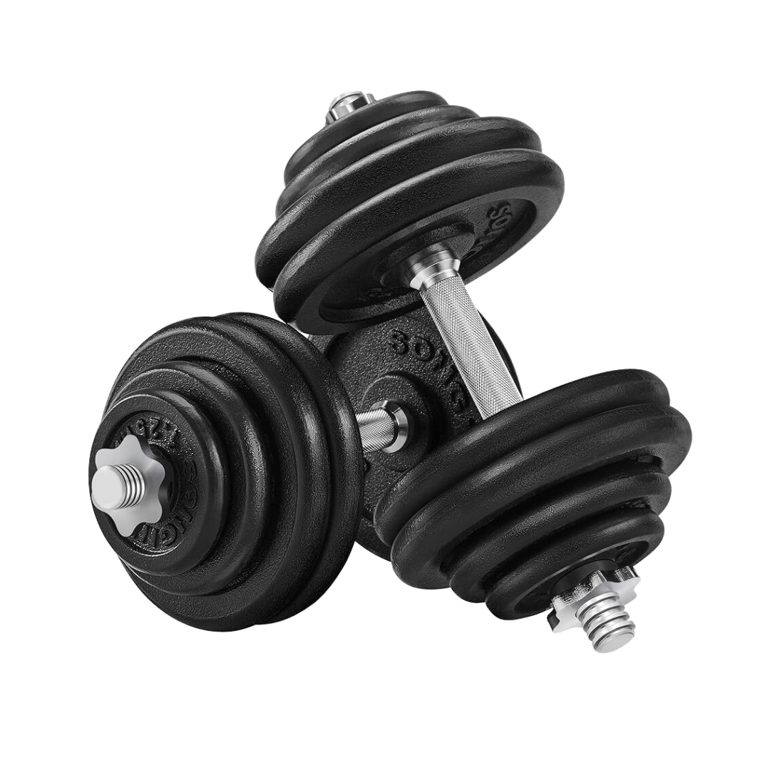 Mancuernas estándar con discos image 0