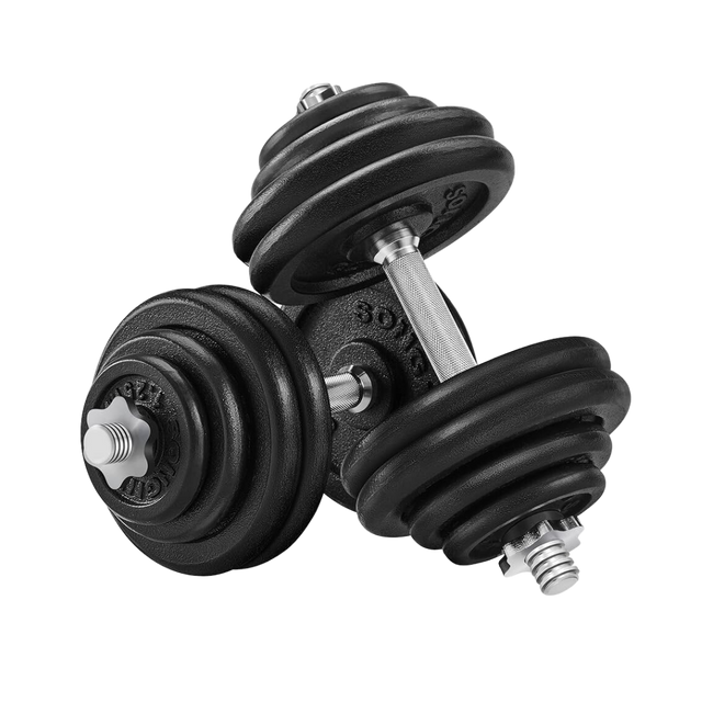 Mancuernas estándar con discos image 0