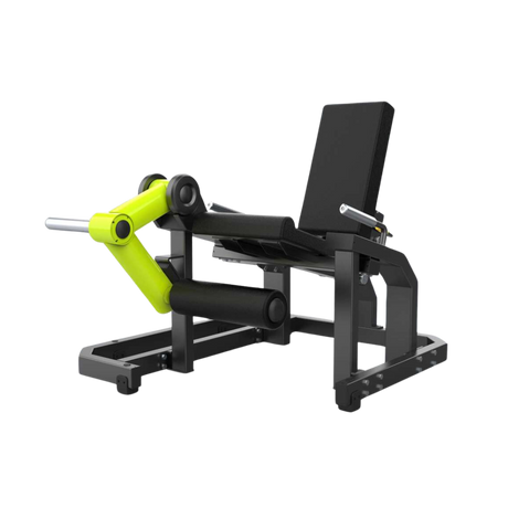 Extension de pierna image 0