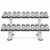 Set de Mancuernas Cromadas Premium de 55 a 100 lb