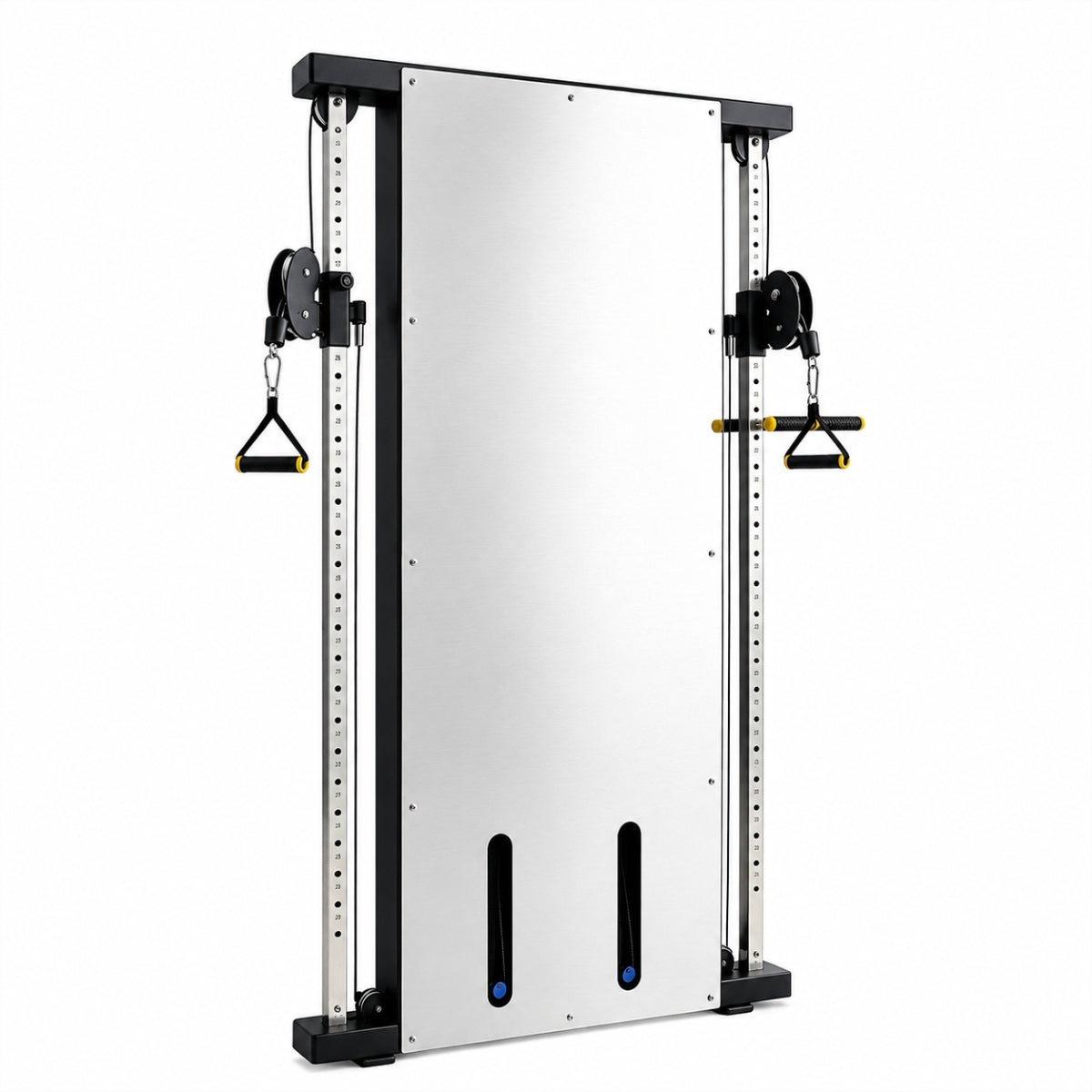 WallGym Elite Estación de Poleas Dobles con 100 kg de Peso Integrado
