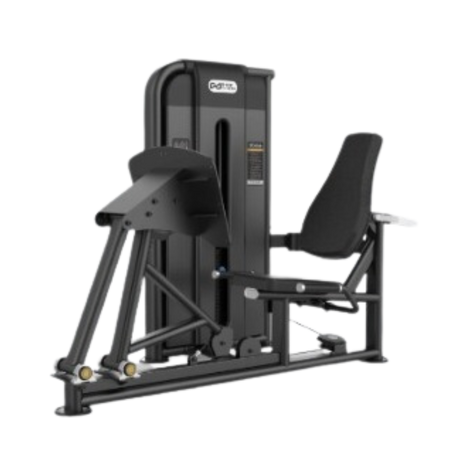 Prensa de pierna image 0