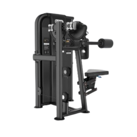 Lateral Raise Premium  image 0