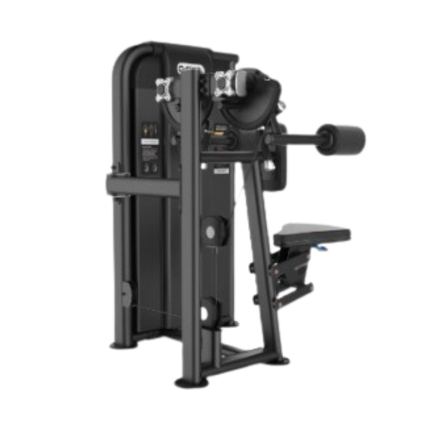 Lateral Raise Premium  image 0